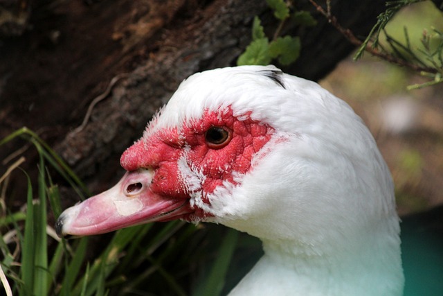 技项目正在 技项目正在