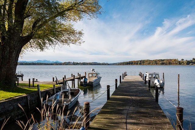 和国际声誉 和国际声誉