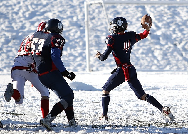 成为体育领 成为体育领