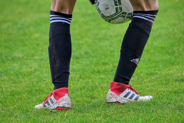 着众多目光 着众多目光