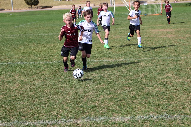 中欧合璧 中欧合璧