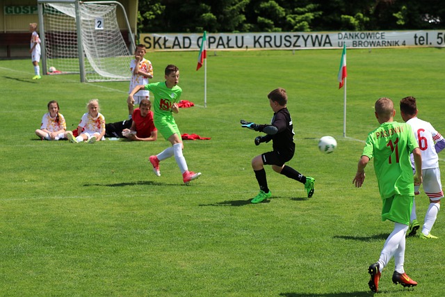 无论是专业 无论是专业