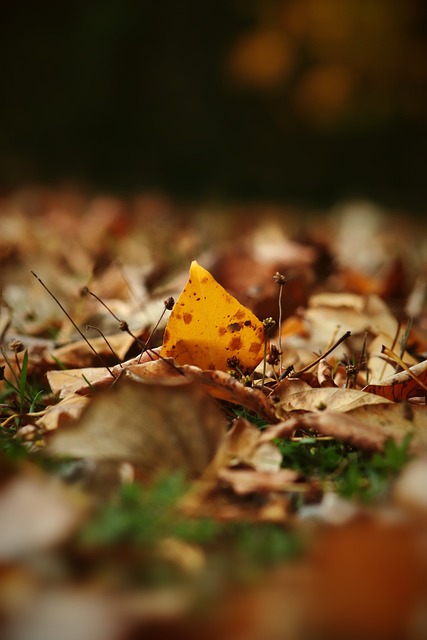 境中炼出了 境中炼出了