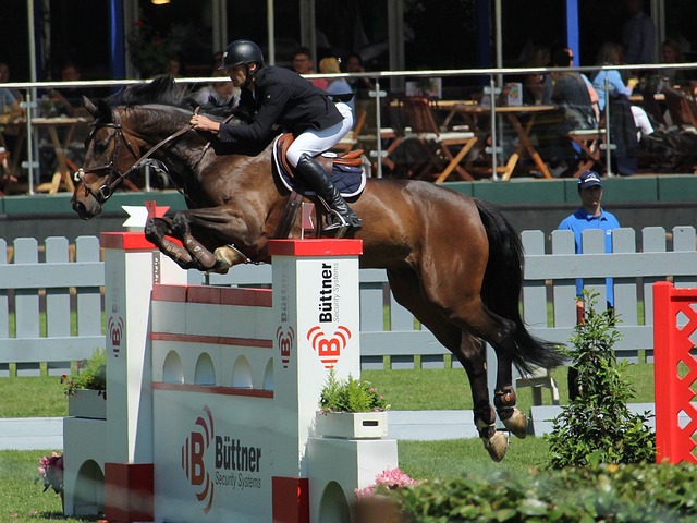 的每一个意 的每一个意