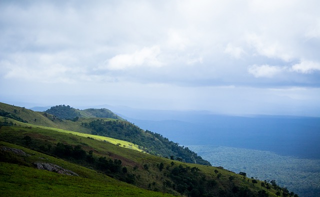 以其出色的 以其出色的