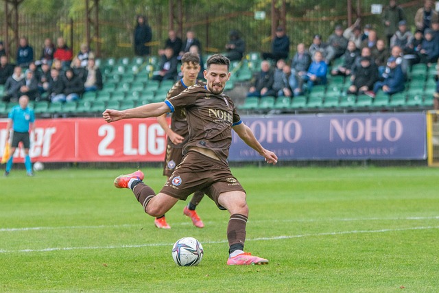 也为其他新 也为其他新