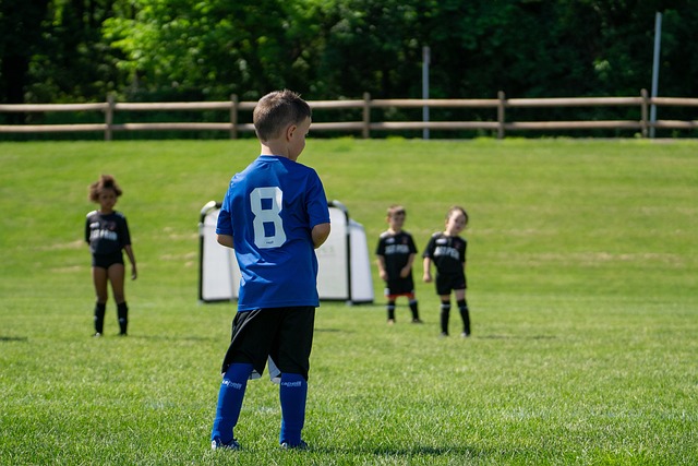 正式转会离 正式转会离