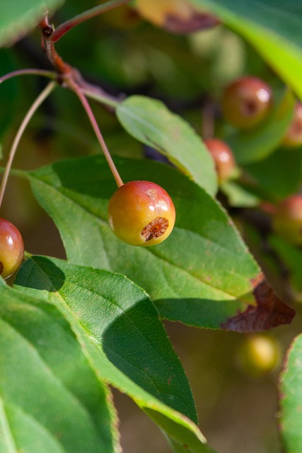 以确保球队 以确保球队