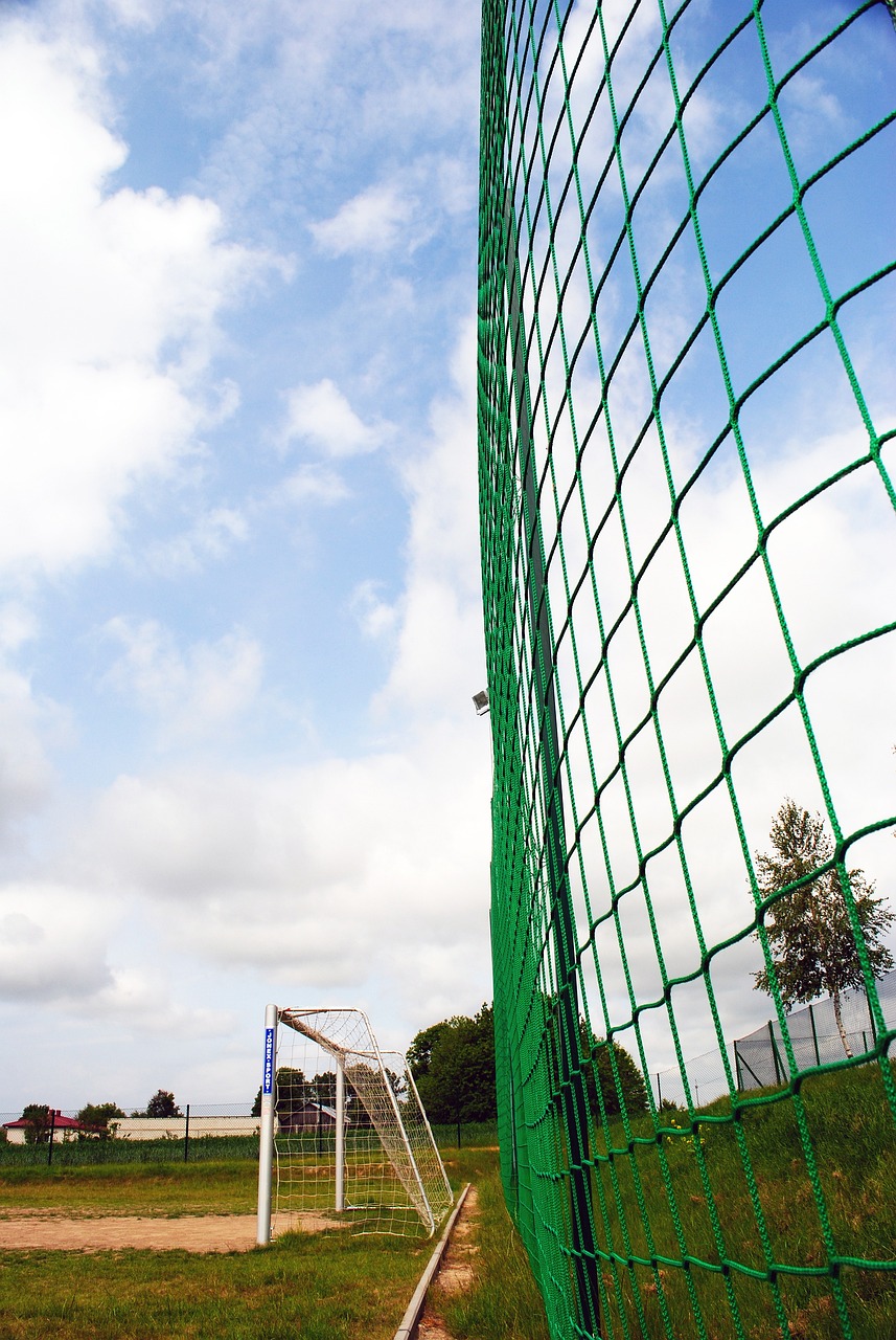 成功迎來新 成功迎來新