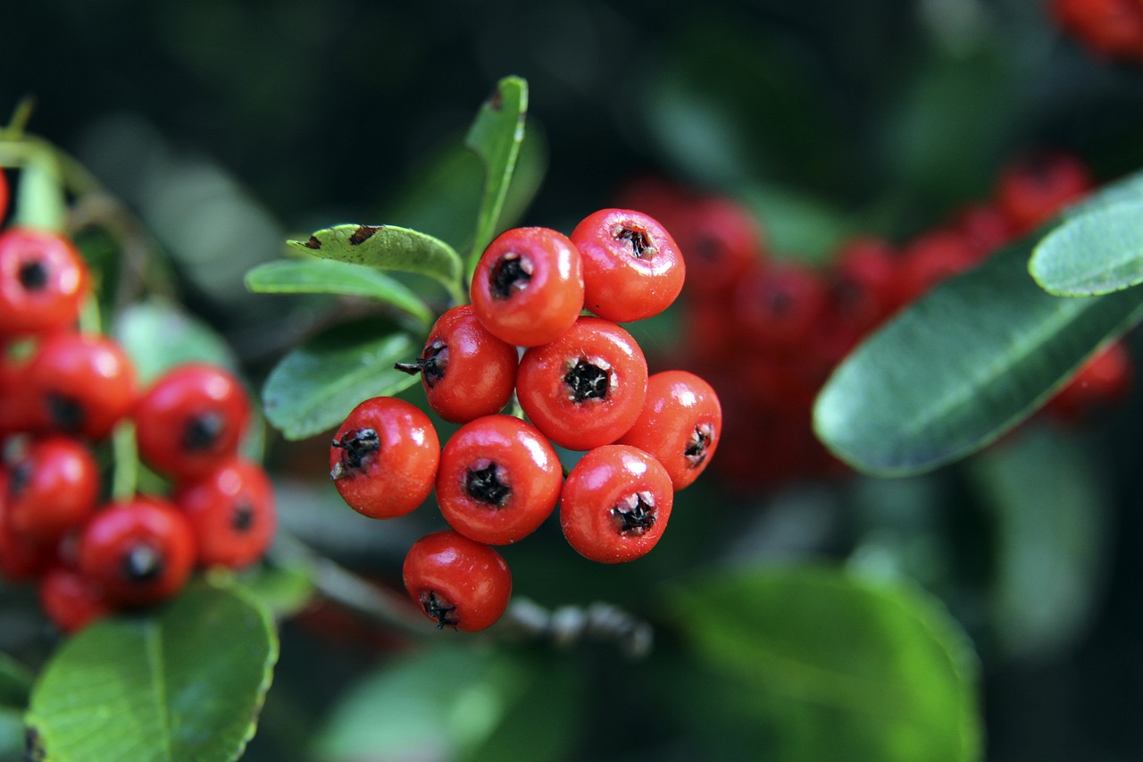 唯一筹码 唯一筹码